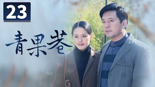 《青果巷》第23集 相差25岁的“忘年恋” 走进唯美江南第一巷【CCTV电视剧】