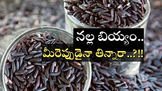 నల్ల బియ్యం అన్నం మీరు టేస్ట్ చేశారా..?! || Black Rice #BlackRice #ytshorts #shorts