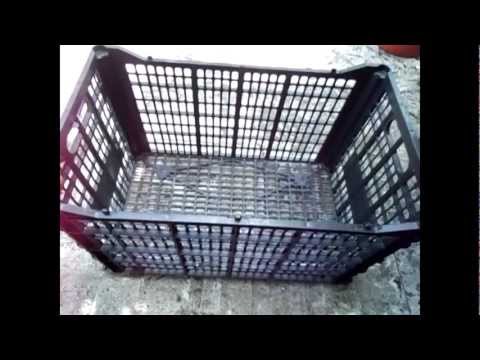 Growing Vegetables in an uncommon container: Part 1 Growing Vegetables in an uncommon container: Part 1