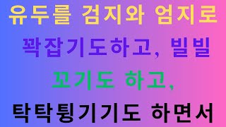 서울역에서 호의를 베풀었더니/ 動物園｜오디오북