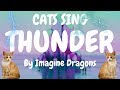 Cats Sing Thunder by Imagine Dragons | Cats Singing Song