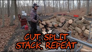 #172 Firewood: Cut, Split, Stack, Repeat with RuggedMade Log Splitter