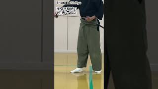 ShintoEishinRyu 英信流横引縦納刀(中級レベル)Noto