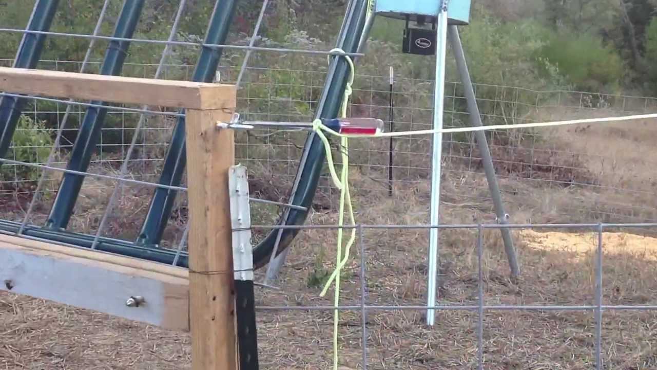 Hog Trap Door Trigger Designs Design Talk