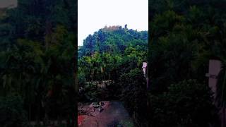 সকালবেলা পাহাড় দেখার অনুভূতি মনমুগ্ধকর💜#hills #nature #beautiful #green #shorts #viralvideo #reels