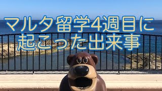 マルタ留学4週目に起こった出来事。マルタ留学Vlog