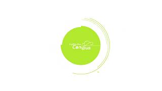 Infinite Campus: Setting Gradebook Categories
