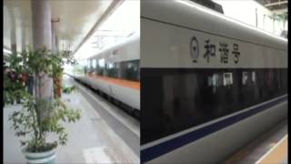 CRH 1 train VS TEMU1000