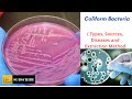 “COLIFORM BACTERIA”