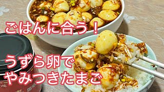 (20-2)【韓味屋キムチの素】活用12 やみつきうずら卵 ごはんのお供に最高！ #cooking #キムチの素 #韓味屋 #うずらの卵 #ごはんのお供 #ヤンニョム