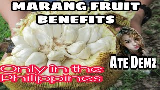 WHY WE SHOULD EAT A MARANG FRUIT ? | HERE'S THE BENEFITS !