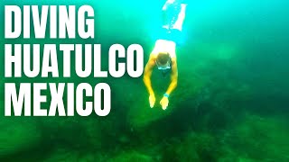 DIVING DEEP SNORKELING NEAR HUATULCO | IAN \u0026 SHERRY VLOGS | MEXICO SERIES