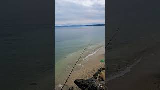 Sinop İl Özel İdare Plajı #keşfet #sea #karadeniz #shortsvideo #shotr #keşfet #sinopsis #shortvideo