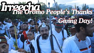 Irreecha: Celebrating Oromo Tradition and Unity