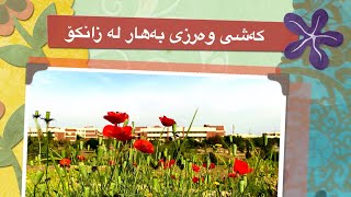 Mesmerizing Views of My College | University of Sulaimani | Ep. 1 | [4K] || SPRING 2022