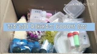 오랜만에 구성영상♥ 택미포 6000박 (feat.청주님) / 다양한 재료로 구성했습니다! / 첫 우드글루♥