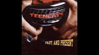 Teencats - Rock'n' Roll is King