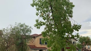 Rain soaks Las Vegas valley