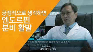 긍정적으로 생각하면 엔도르핀 분비 활발 - (2011.7.16_379회 방송)_100세 장수의 조건, 인생을 즐겨라