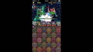 【パズドラ】星宝の魔窟 修練の道 マルチ 完全無課金編成！ ガチャ限なし！