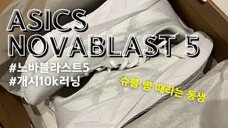 노바블라스트5 개시 10k 러닝 리뷰, 베스트 데일리 조깅화 추천 | 러닝 브이로그