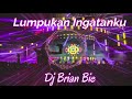 Dj Brian Bie Lumpukanlah Ingatanku