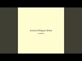 Aurora Whisper Silver