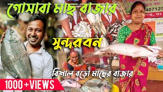 সুন্দরবনে সস্তায় মাছ কিনুন | Sundarban fish market | সুন্দরবনের মাছ বাজার | Gosaba fish market