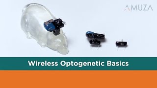 Teleopto Wireless Optogenetics System Introduction