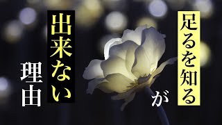 どん底人生から抜け出せない理由。【足るを知る】が出来ない人