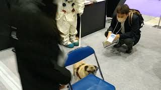 日本の宇宙業界を牽引する月餅