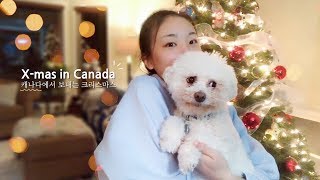 캐나다에서 보내는 크리스마스 merry x-mas in canada