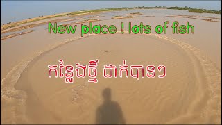 New place for fishing | Amazing Cast Net Fishing | កន្លែងថ្មីបងប្អូន សំណាញ់ណាក៏បានដែរ ត្រីអេមៗណាស់