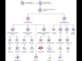 ASCP | MLS | MLT | Hematology | Hematopoiesis - blood cells formation