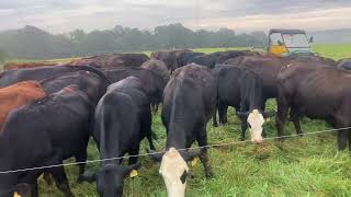 Labor Day, Fall weather and Nonselective grazing! 😊