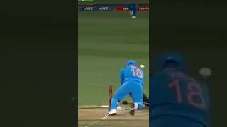 Unbelievable Run Out: Is This the Best in Cricket History?" #viral #shorts #shortsfeed #runout