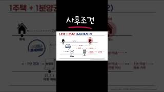 1주택과 1분양권 비과세 2편 #양도세비과세 #분양권 #부동산세금