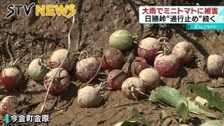 【道路一面に泥】深刻な大雨被害「仕方がないけど悔しい…」