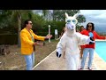 la llama que baila la cantada official video 🦙🌎🔥