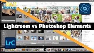 Photoshop ELEMENTS vs LIGHTROOM Review Comparison of 2 Adobe Programs