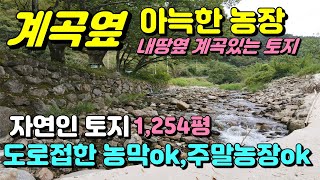 곡성부동산 계곡옆땅 계획관리지역, 맑은 물이흐르는 계곡옆토지 매실농장 매매 자연인땅 압록유원지인근 주말농장도 좋아요. 나만의 쉼터,농막OK 청정지역 전라도계곡땅 계곡옆 매실농장매매