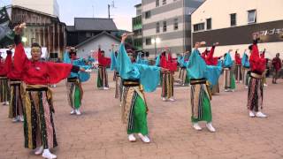 爽郷やまもと連2013　祭～まつり～　銭形よさこい　はれはれ公園会場