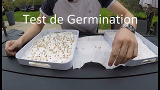 Parlons Agronomie #2 Test de germination sur semence de blé