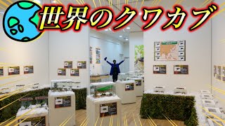 【世界のクワガタ、カブトムシ大集結】真冬の展示会を余すところ無く調査した結果…