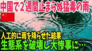 【海外の反応】雨乞い解決のため人工的に雨を降らせた結果、毒の雨で作物全滅