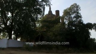 Agricultural fields, old monuments and Black-winged Stilts at Sheikhpur Fort