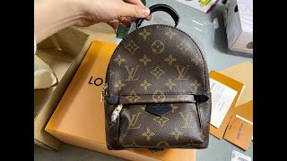 M44873 Louis Vuitton Palm Springs Monogram Updated Zipper Mini Brown