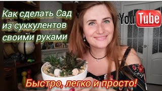 Как сделать сад из СУККУЛЕНТОВ своими руками. БЫСТРО, ЛЕГКО И ПРОСТО!