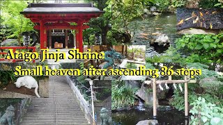 Atago Jinja Shrine, Tokyo, Japan - Small heaven after ascending 86 steps