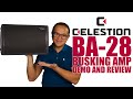 C-Music BA28 (Busking Amp) Demo and Review